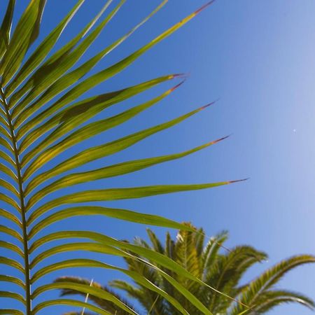 Apartamento Jumilla Vista Mar 23 Playa del Ingles  Dış mekan fotoğraf